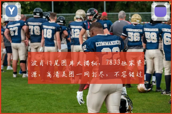 波肖门尾图库大揭秘，7833独家资源，高清美图一网打尽，不容错过