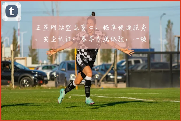 五星网站登录窗口，畅享便捷服务，安全认证，尊享专属体验，一键登录，开启精彩旅程。